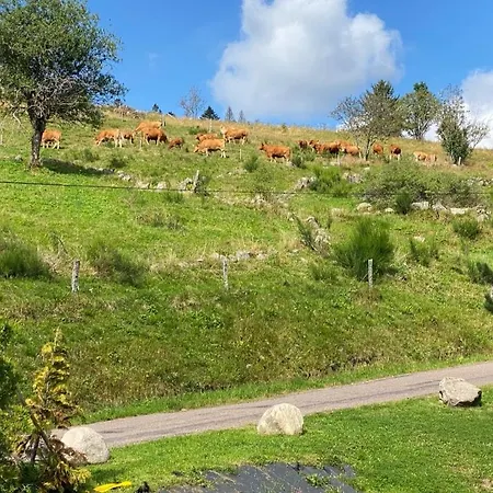 Chalet Du Paradis Blanc