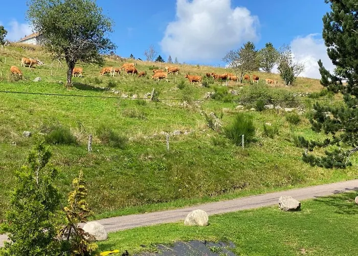 Horská chata Du Paradis Blanc